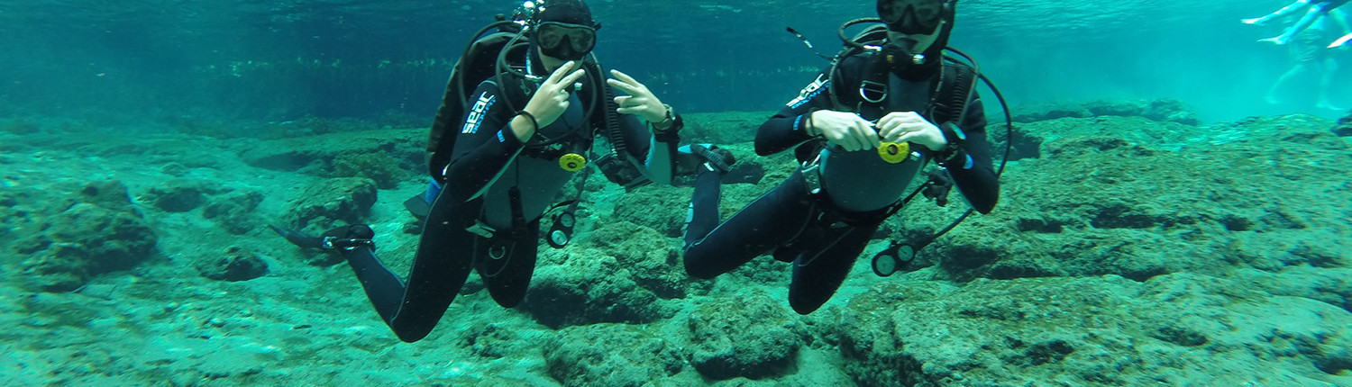 Top Website Image_0007_GOPR2329