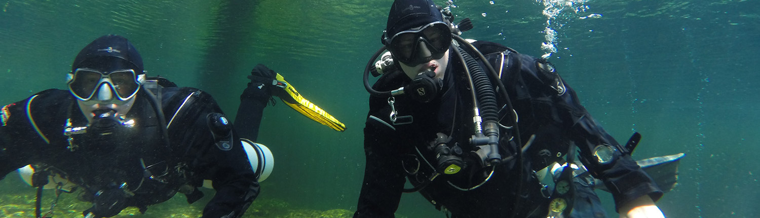 Top Website Image_0008_GOPR2280