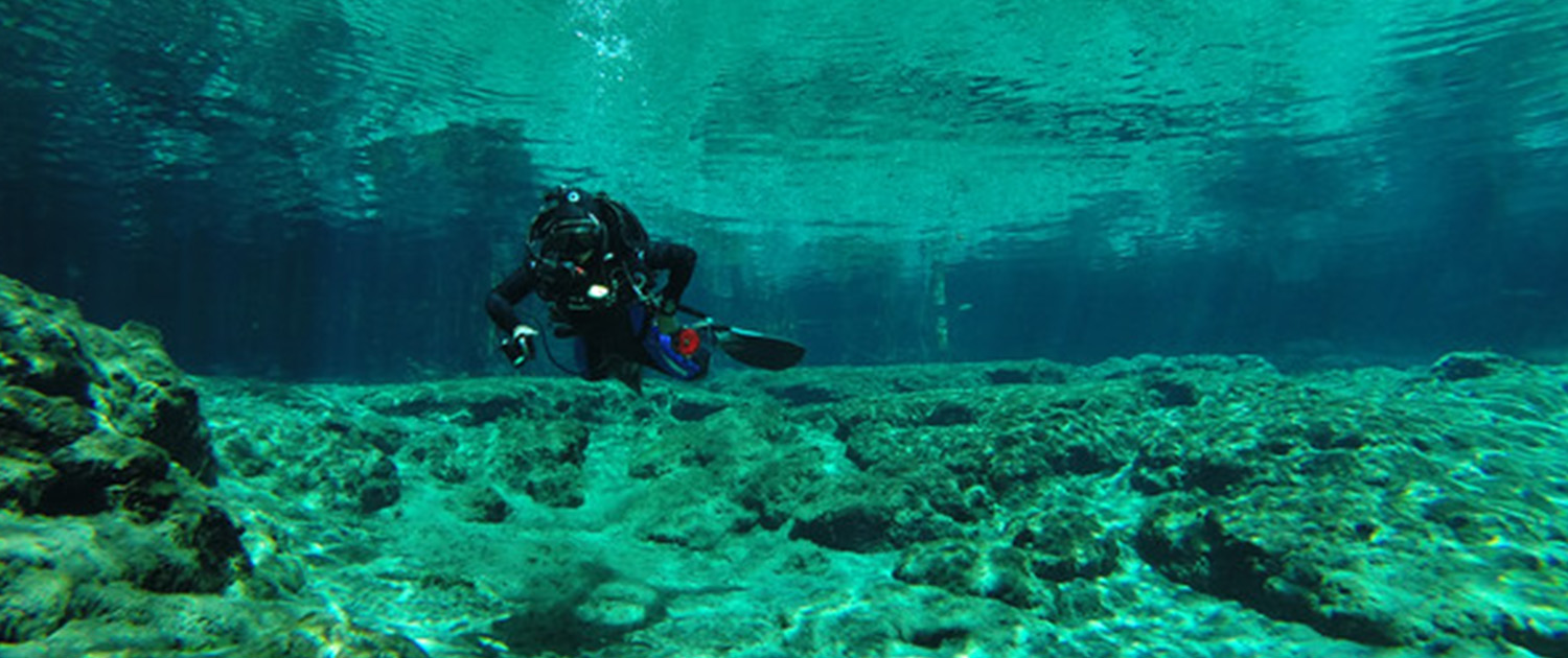 Top Website Image_0010_Dive Club Trip to Blue Grotto