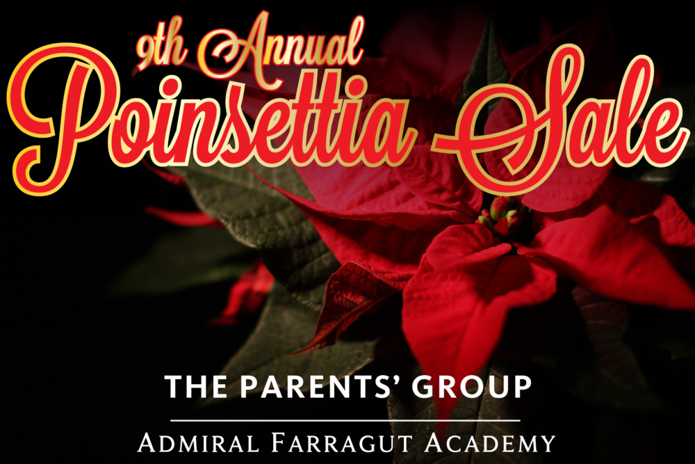 christmas-1673561_1920-01