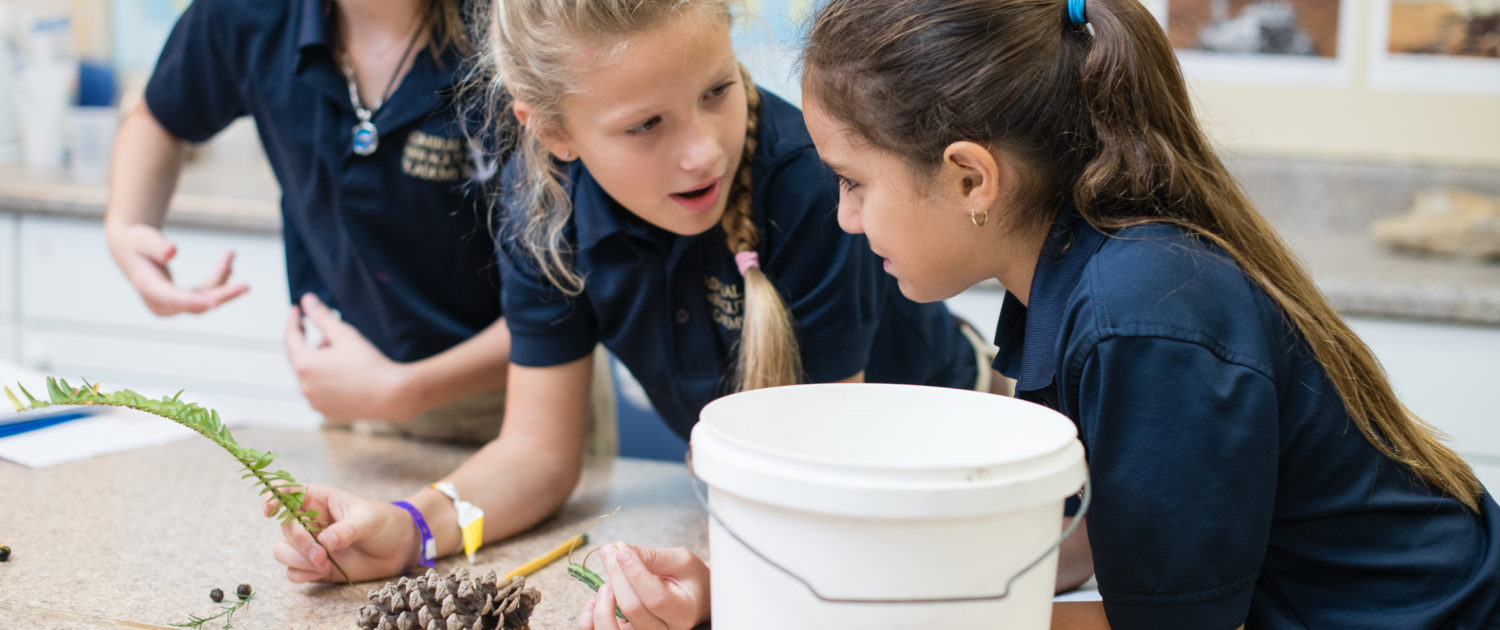Lower School Science Class