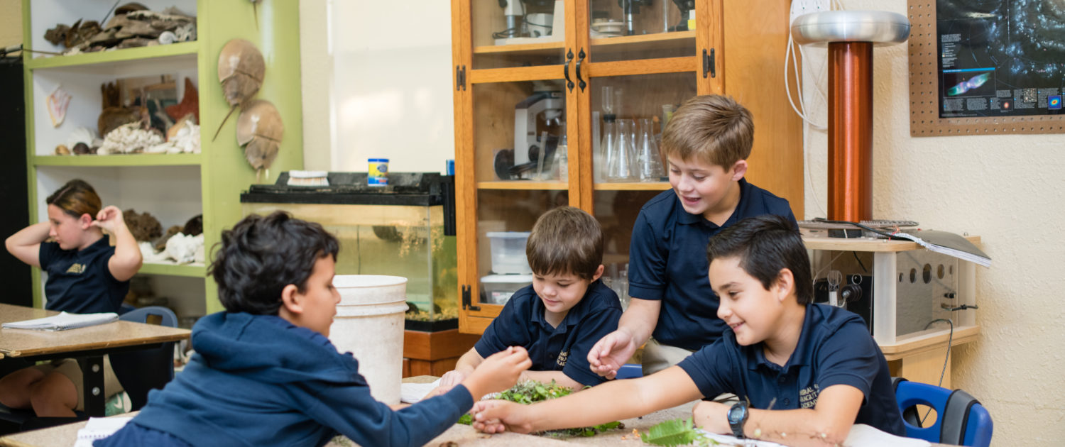 Lower School Science