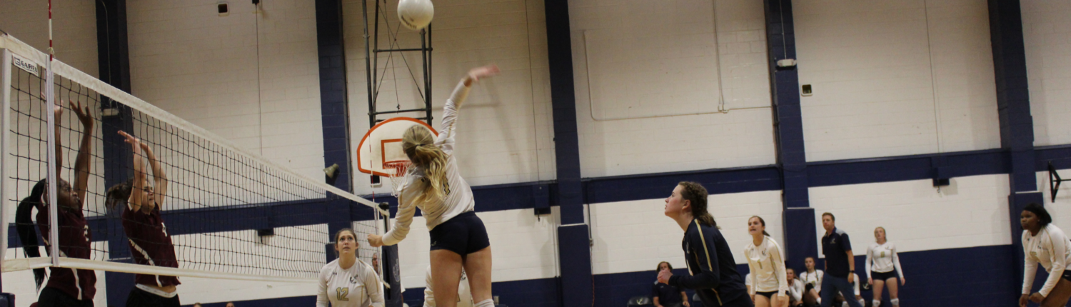 TopHeaderAthletics20203