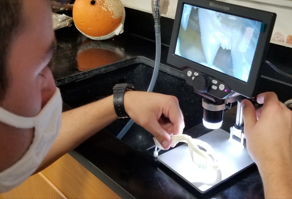 Farragut's Science Department received a donation from an alumnus for the purchase of 茎 equipment including microscopes and a laser cutter.